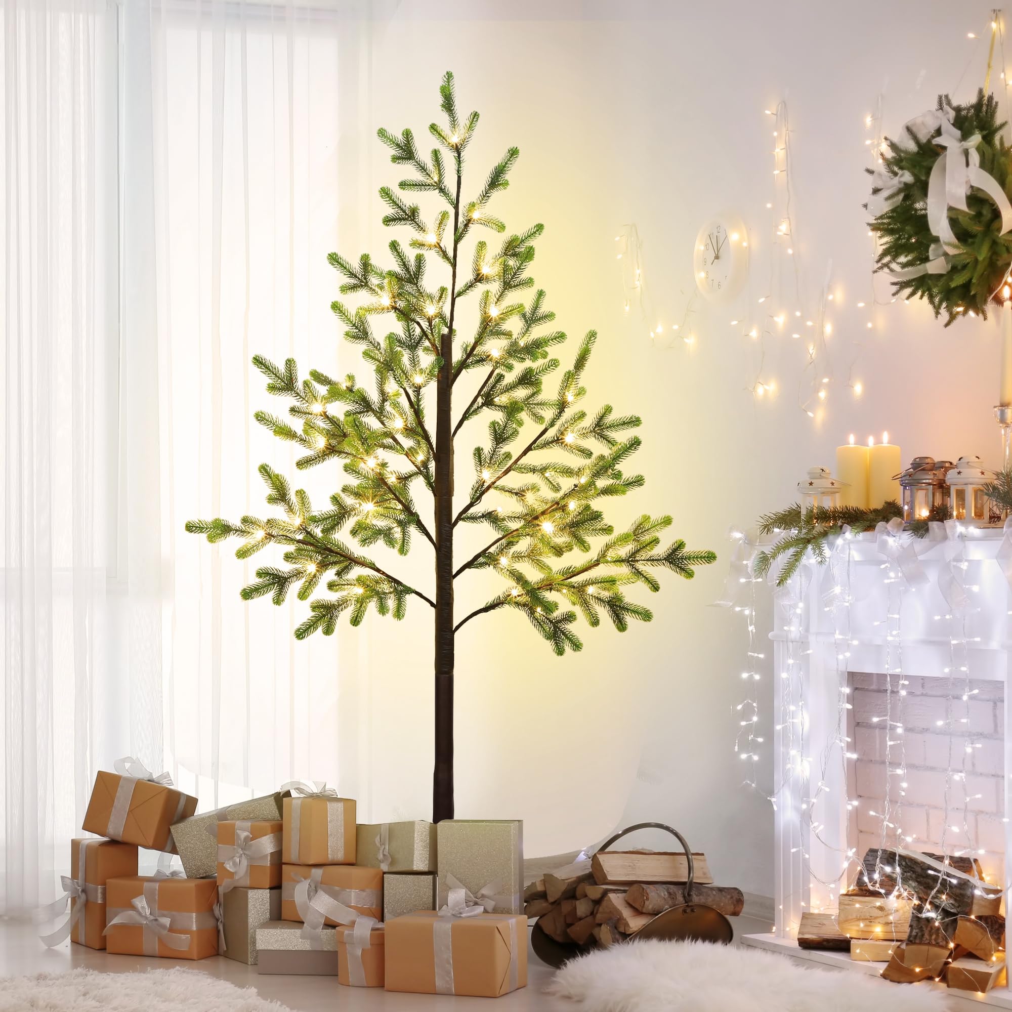 DR.DUDU branches compressées prêtes au rangement pratique