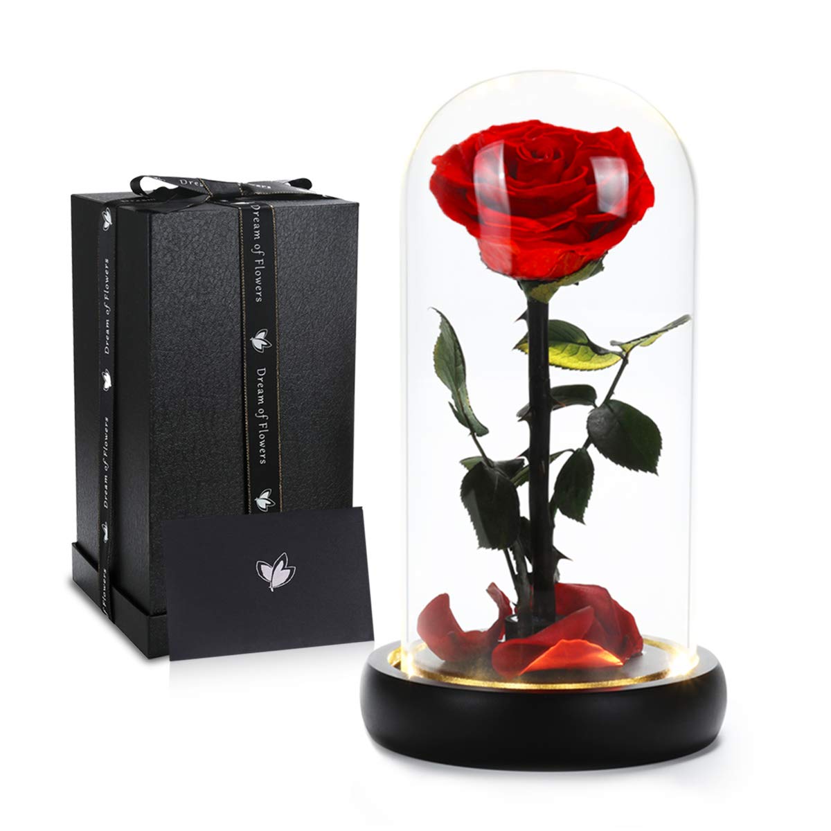Dream of Flowers face de la rose sous cloche offrant une décoration romantique durable