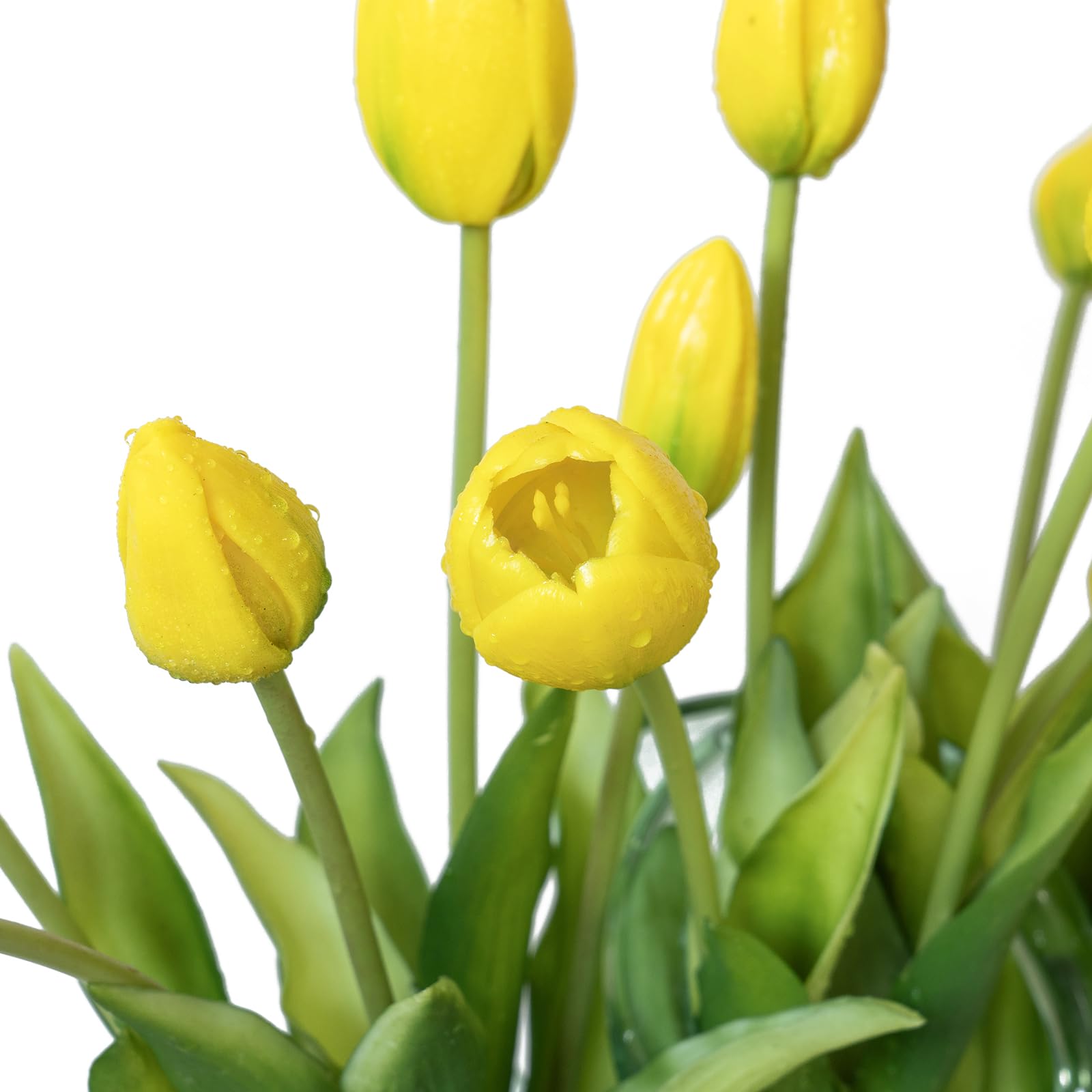 DUYONE comparaison taille avec vase pour illustration d'échelle pratique