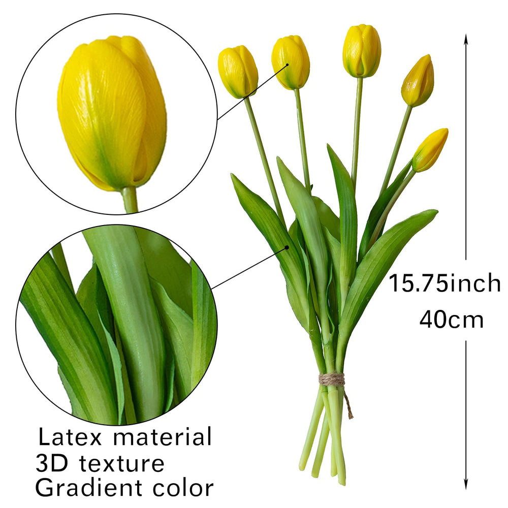DUYONE gros plan tête de tulipe montrant texture réaliste et attrait visuel