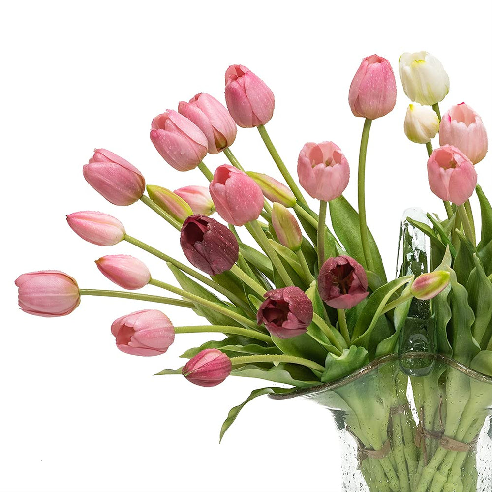 DUYONE tulipes sous l'eau se rinçant facilement pour un entretien simple