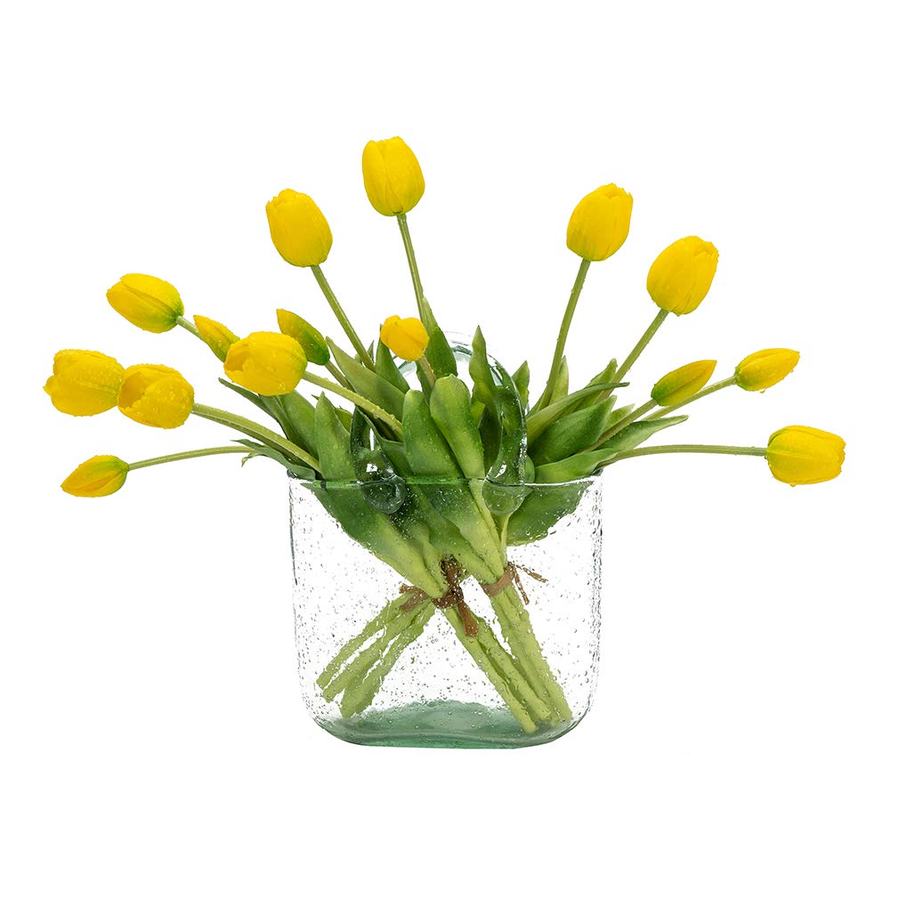 DUYONE emballage du produit montrant 15 tulipes et informations principales