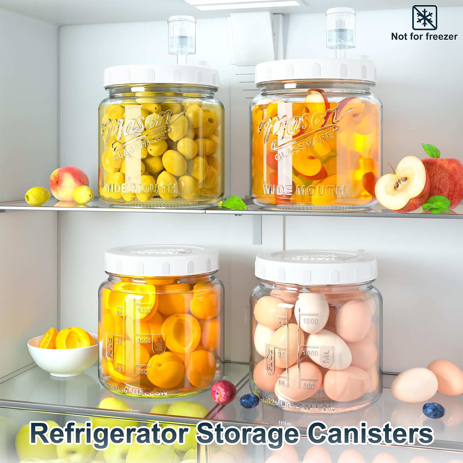 Dwbligt comparaison taille-main illustrant la capacité 64 oz pour lots familiaux