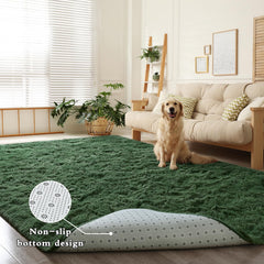 DweIke tapis posé salon créant ambiance cosy et conviviale