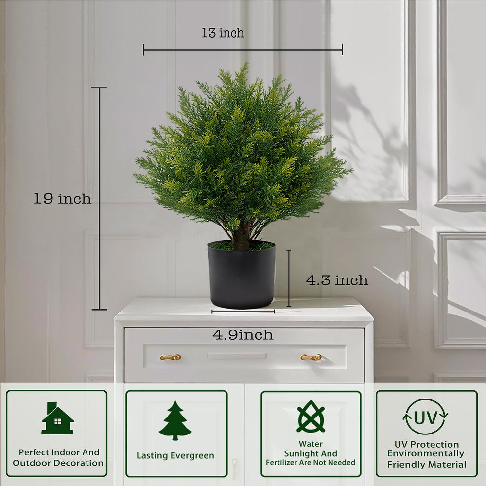 ECOLVANT comparaison d'échelle montrant taille 19 pouces pratique