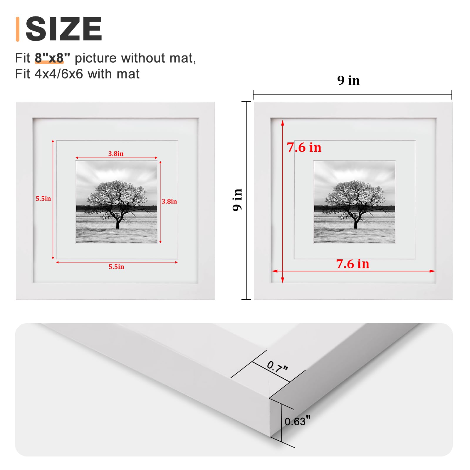 Egofine détail plexiglas transparent offrant protection et clarté
