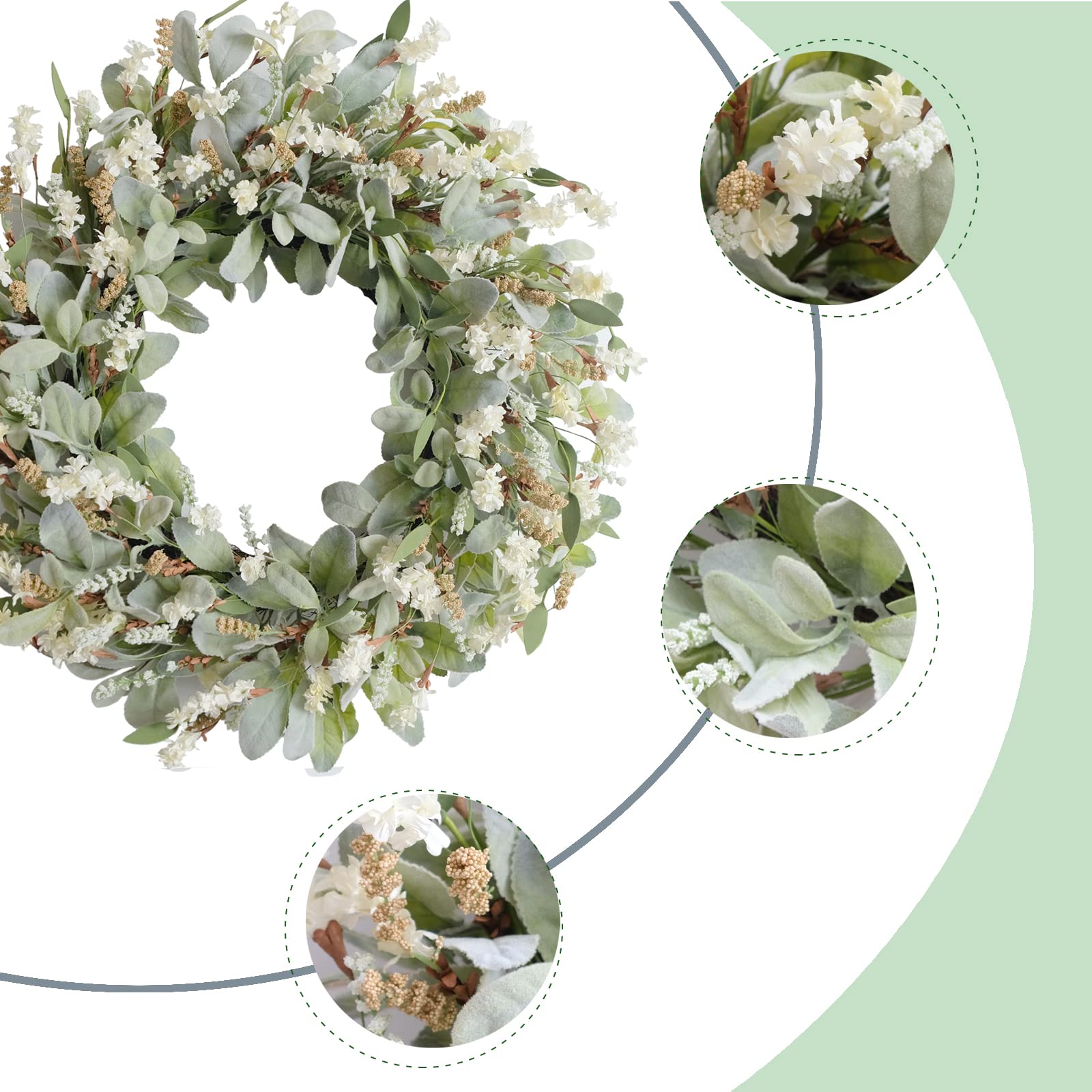 egolot gros plan feuilles lambs ear montrant texture douce et densité