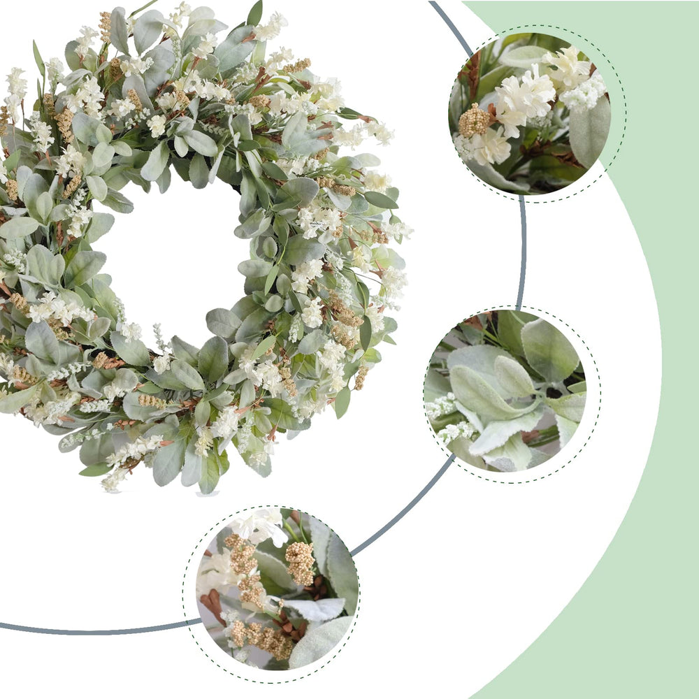 egolot gros plan feuilles lambs ear montrant texture douce et densité