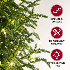 ENVEN sapin 2FT lumières allumées créant une ambiance chaleureuse
