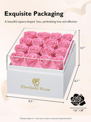 Eterfield boîte ouverte avec 16 roses, présentation prête à offrir