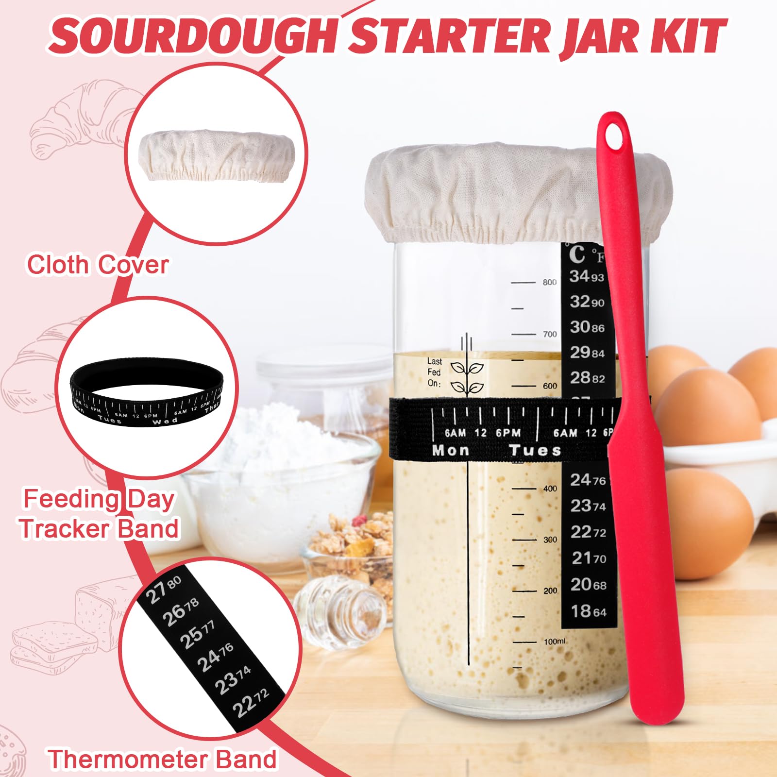 EWFEN jarre levain 24oz avec indicateur de température pour suivi précis