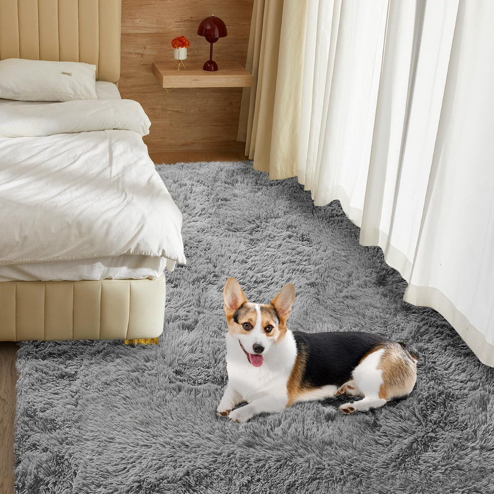 Fairblink tapis en situation salon réchauffe l'espace et décor