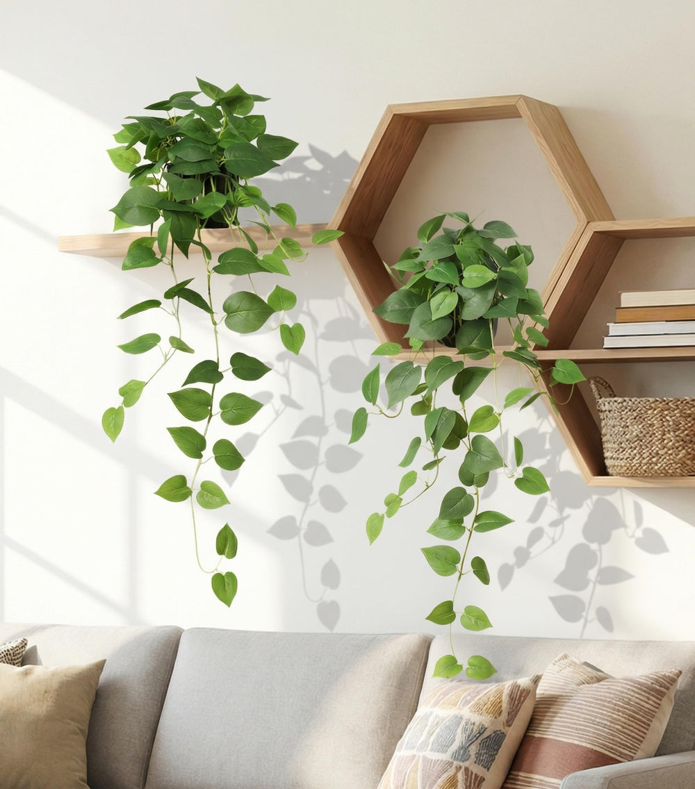 FancyPlus styling sur bibliothèque ajoute cascade verte et profondeur