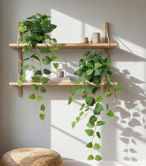 FancyPlus détail du pot noir doré design élégant complète décoration