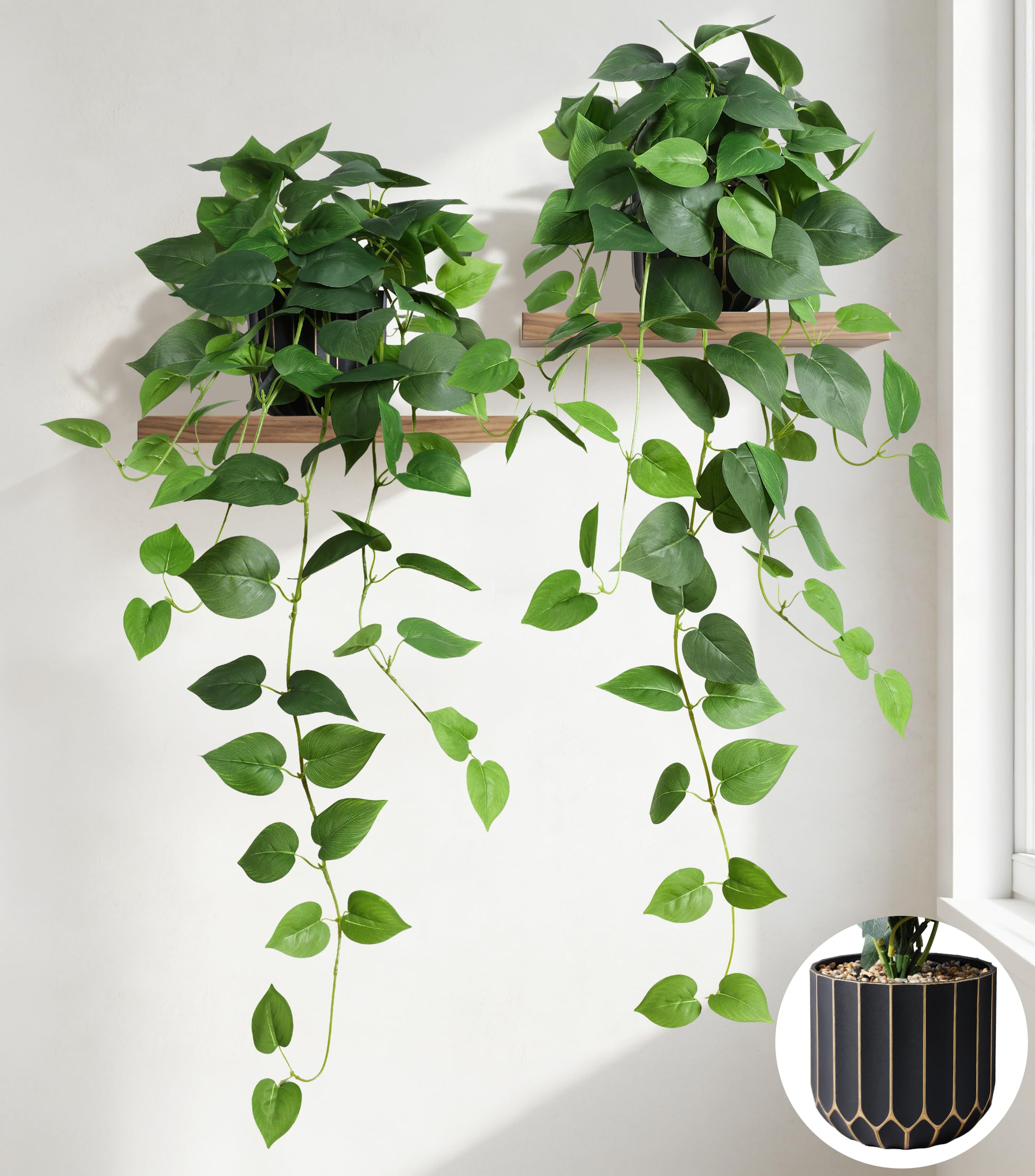 FancyPlus plante pothos en pot vue avant apporte verdure immédiate