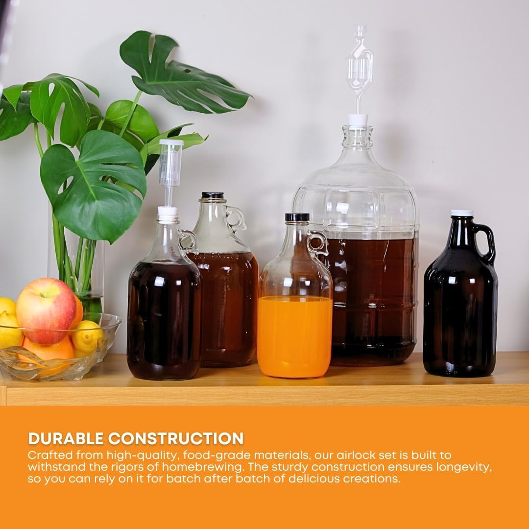 FastRack verre transparent avec liquide à l'intérieur facilitant observation du processus