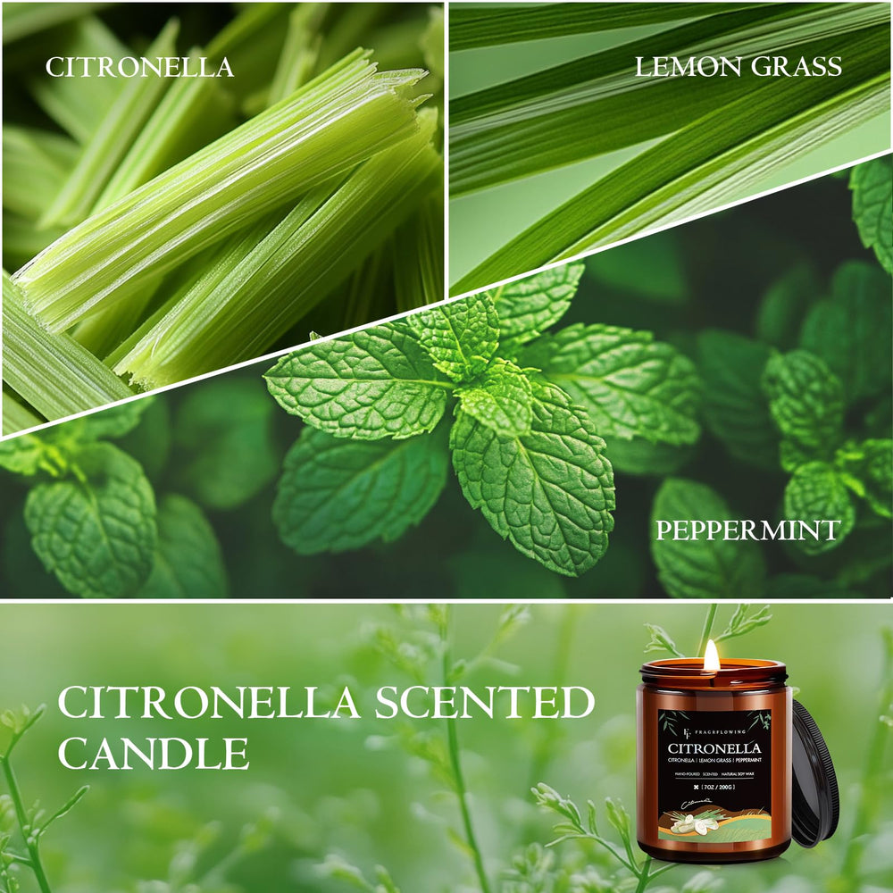 FF FRAGRFLOWING comparaison taille montrée à la main pour référence