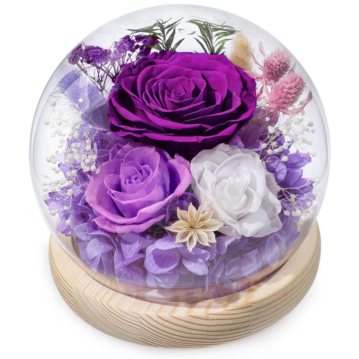 FIACO cloche en verre avec rose centrale, cadeau élégant et durable