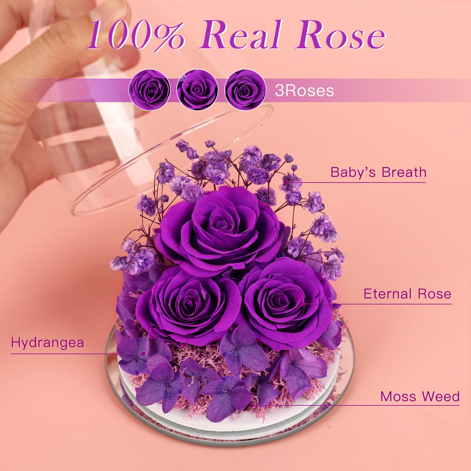 FIACO gros plan pétales de rose préservée montrant texture naturelle