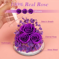FIACO gros plan pétales de rose préservée montrant texture naturelle