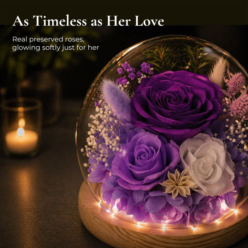 FIACO LED allumée sous cloche, lumière chaude pour ambiance romantique