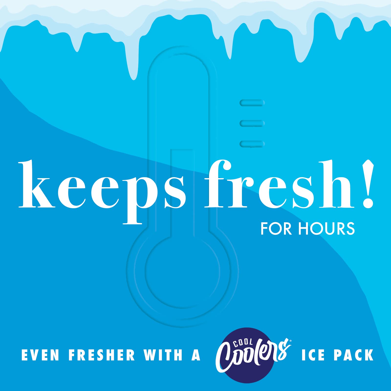 Fit & Fresh pack de glace plat inclus, maintien la fraîcheur des aliments