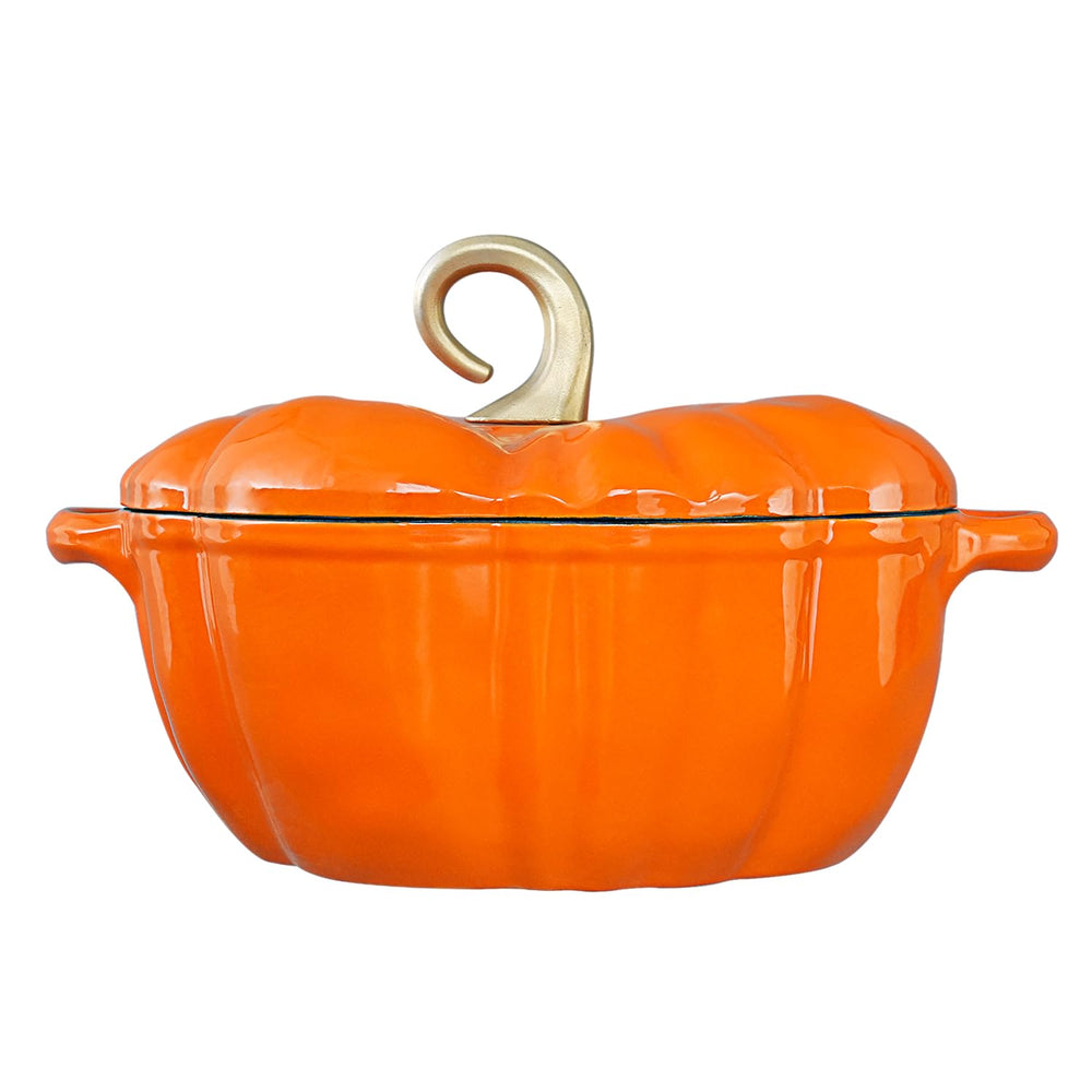 Flavehc cocotte citrouille emballage cadeau prête à offrir pour occasions saisonnières