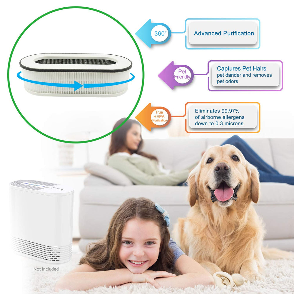 Flintar filtre installé dans un salon montrant purification en usage
