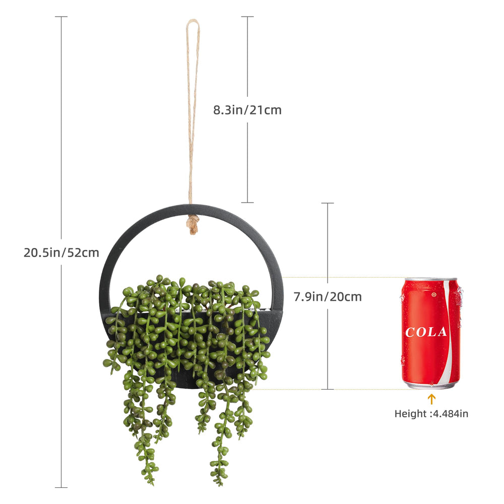 Floweroyal comparaison taille main, montre proportions faciles à placer