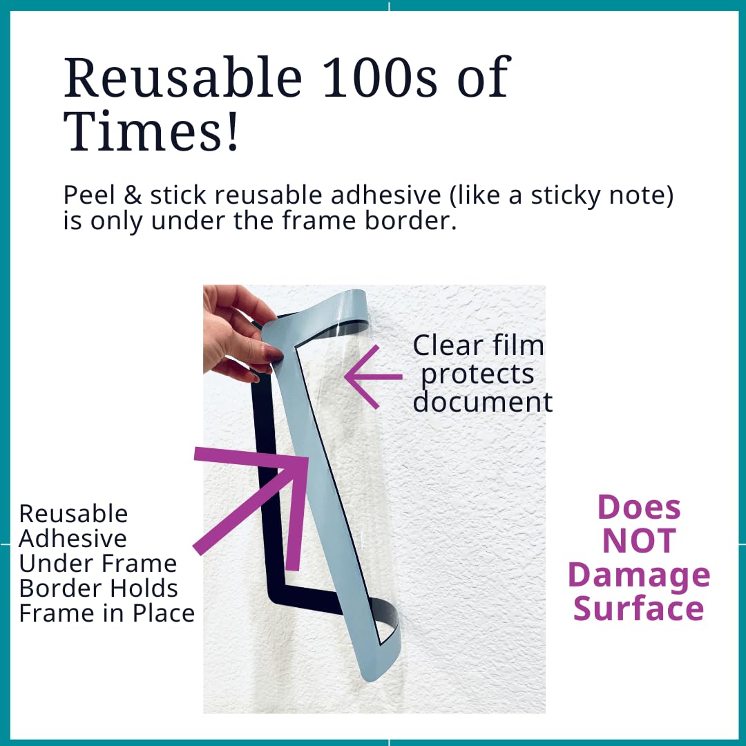 Fodeez gros plan sur surface transparente montrant protection durable