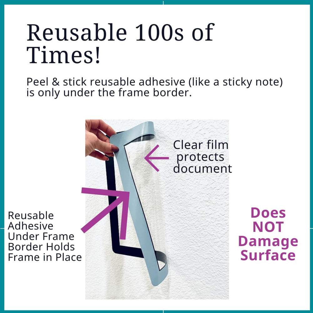 Fodeez gros plan sur surface transparente montrant protection durable