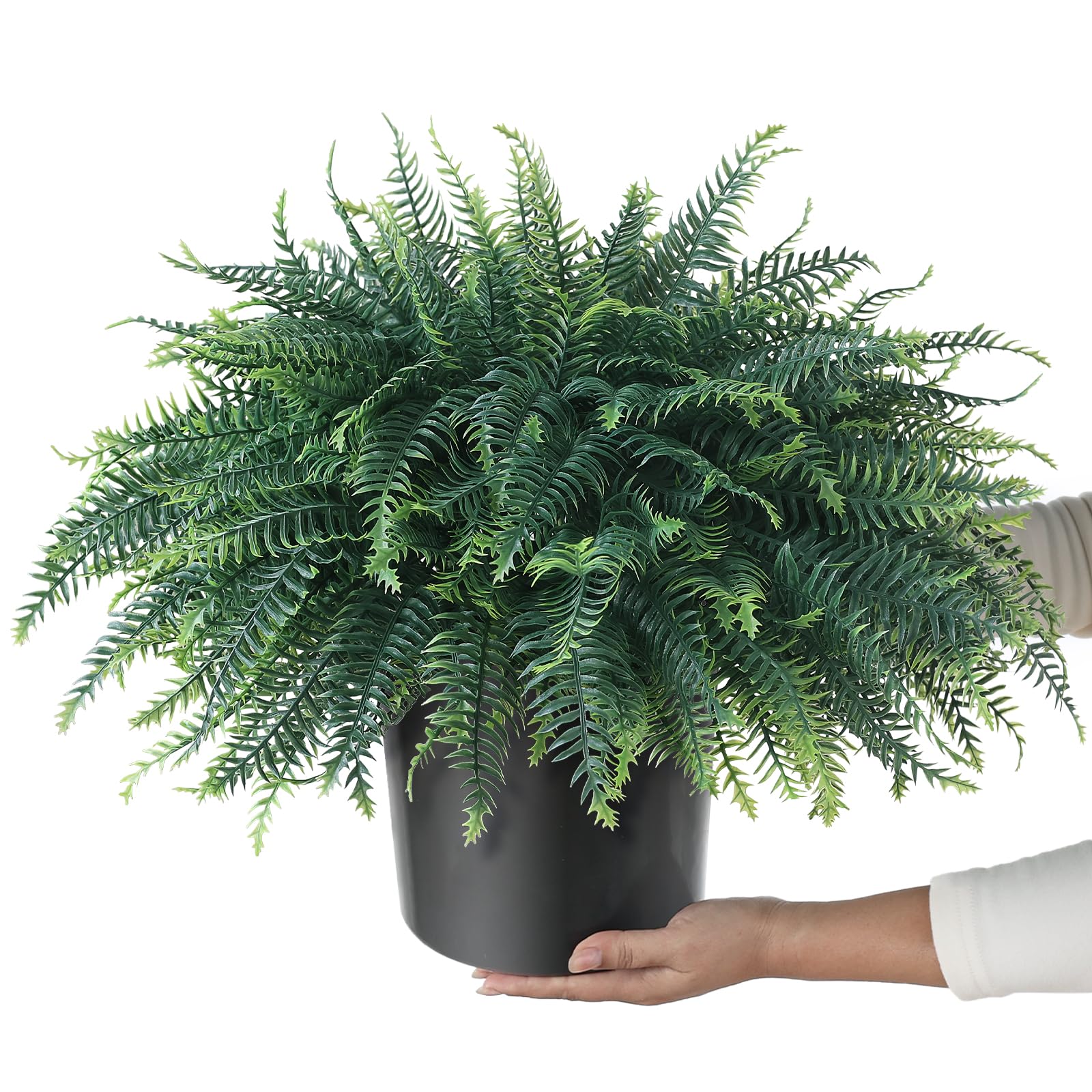 FOTEEWL fougère en profil montrant la silhouette sphérique décorative