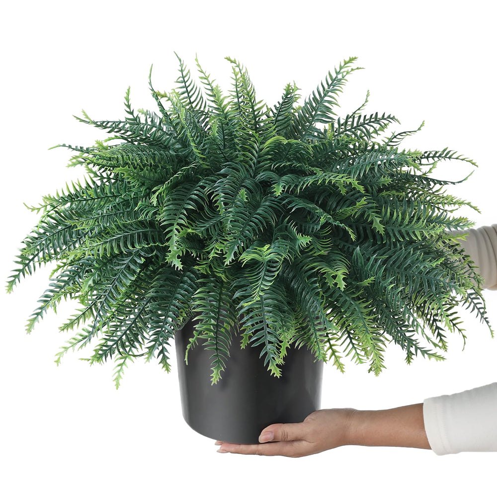 FOTEEWL fougère en profil montrant la silhouette sphérique décorative