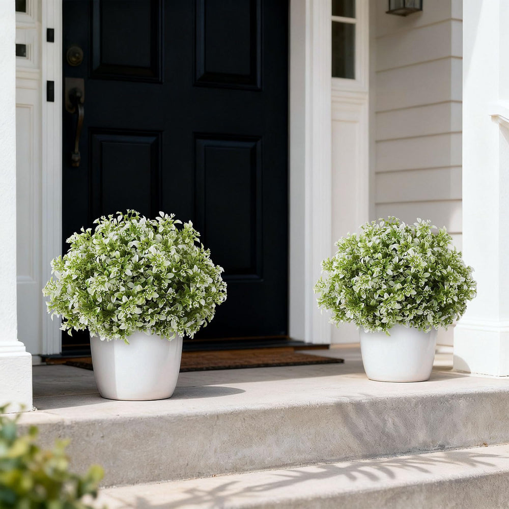 FOTEEWL gros plan du feuillage blanc-vert offrant un effet naturel durable