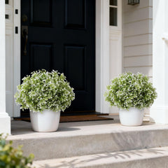 FOTEEWL gros plan du feuillage blanc-vert offrant un effet naturel durable