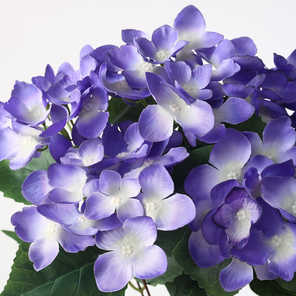 FOTEEWL hortensia comparaison taille montre 17 pouces pratique