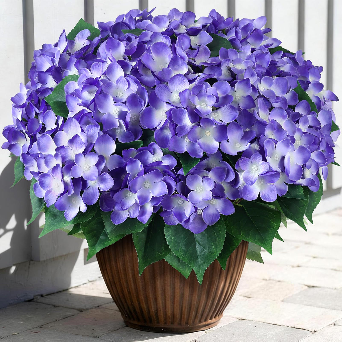 FOTEEWL hortensia vue avant pack de huit, apport naturel instantané