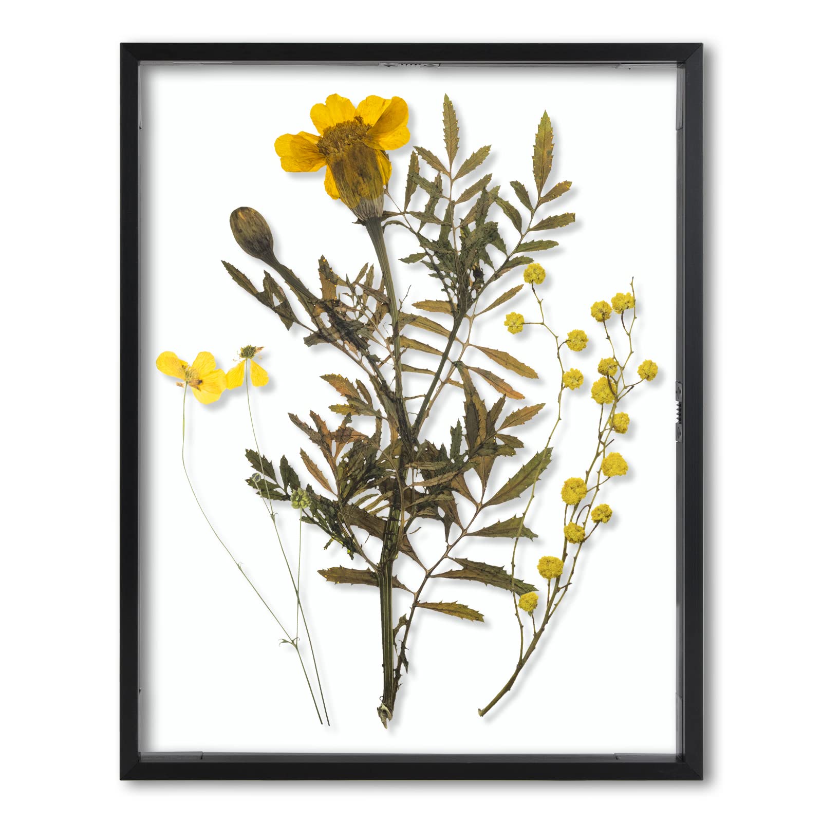 Frametory vue avant verre véritable affichage net