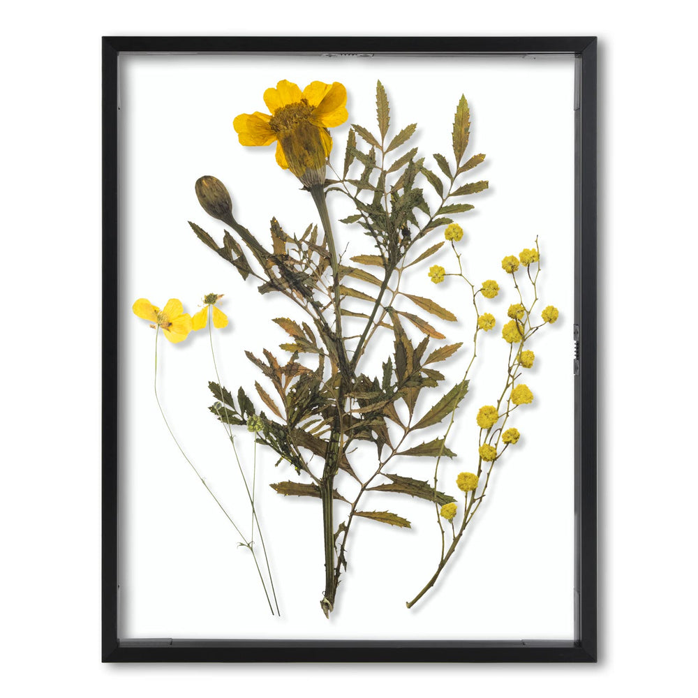 Frametory vue avant verre véritable affichage net
