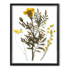 Frametory vue avant verre véritable affichage net