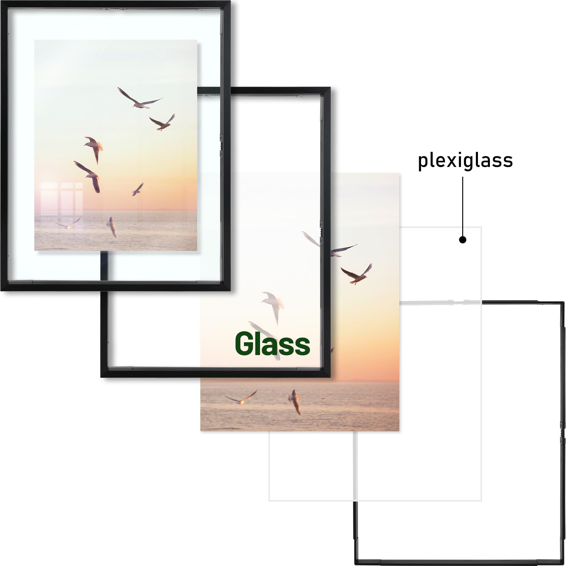 Frametory fleurs pressées présentées avec protection