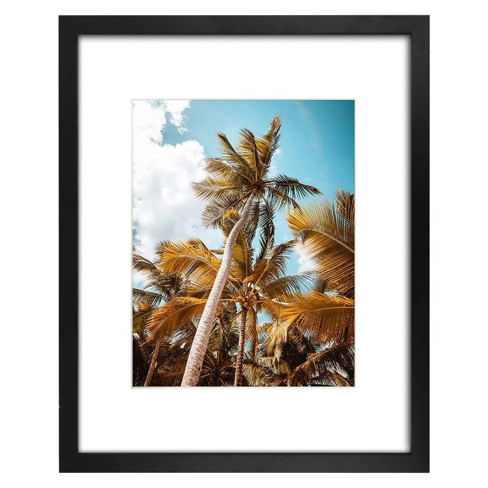 Frametory vue de face du cadre 16x20 noir montrant une photo encadrée et élégante