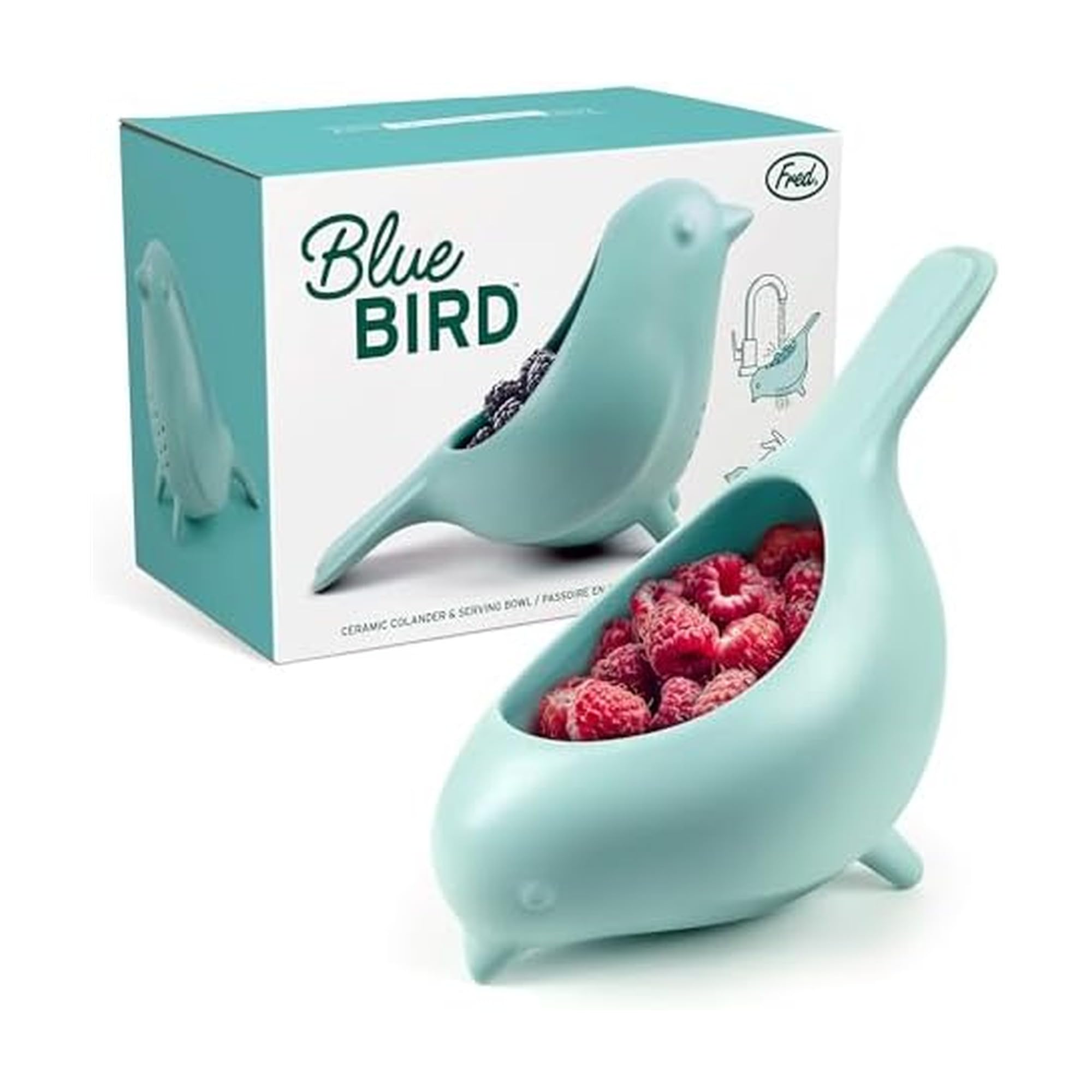 Fred & Friends vue avant du BLUE BIRD pour servir élégamment