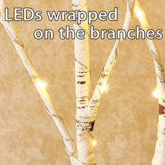 Fudios zoom sur les 100 LED chaudes offrant une lueur douce