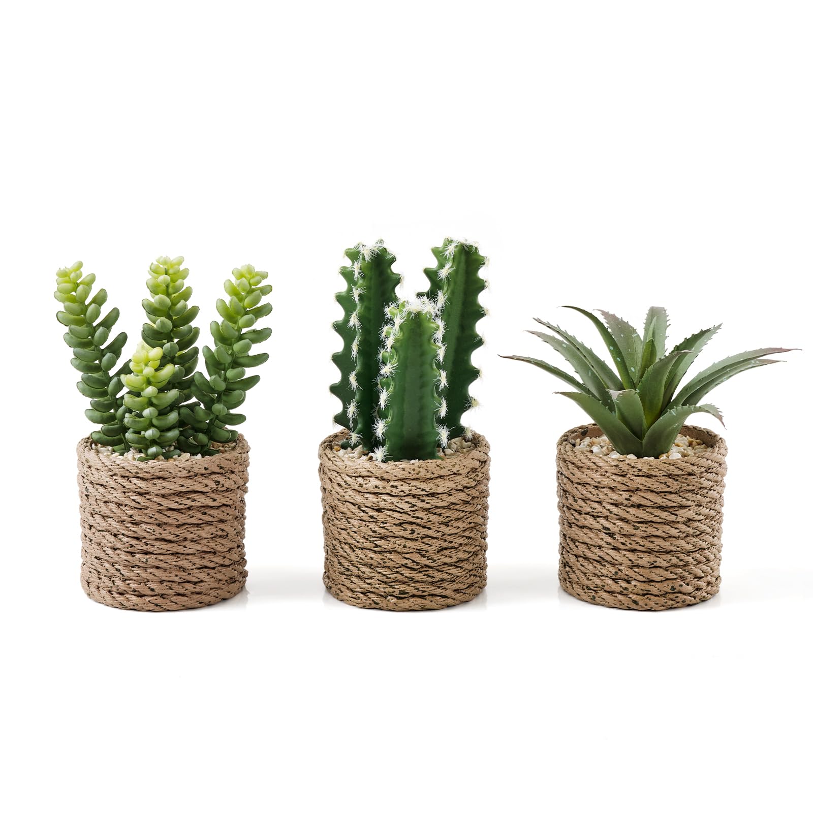 Fuxdre pots vintage face montrant style et solidité décorative