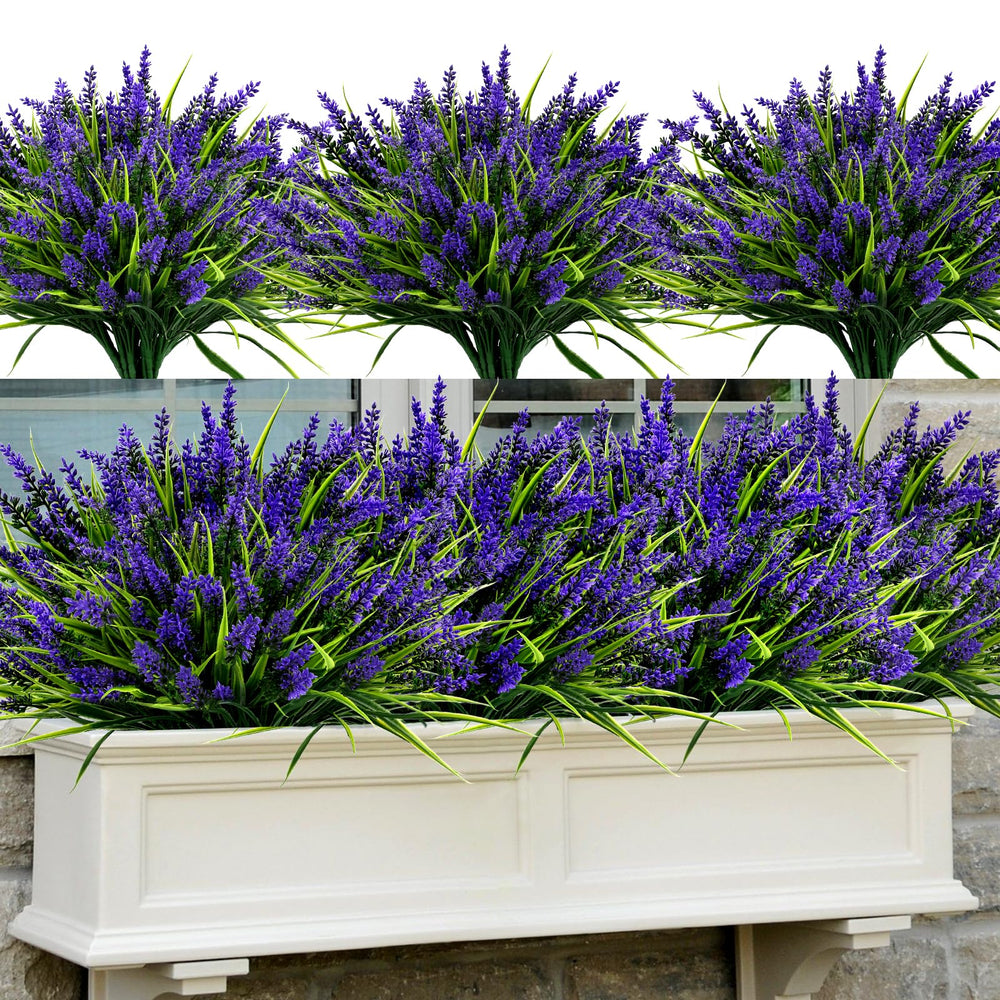 Geegoods lavande 48 bouquets face montrant remplissage immédiat