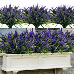 Geegoods lavande 48 bouquets face montrant remplissage immédiat