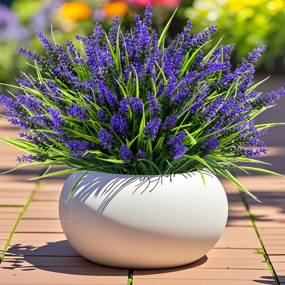 Geegoods lavande gros plan fleurs realistest donnant texture naturelle