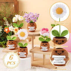 Geelin ensemble des six pots présentant variété de styles et messages