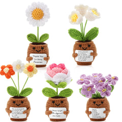 Geelin face avant du mini pot montrant couleurs vives et charme décoratif